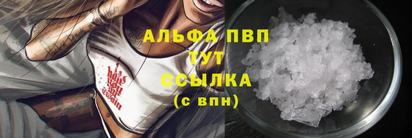 ПСИЛОЦИБИНОВЫЕ ГРИБЫ Горно-Алтайск