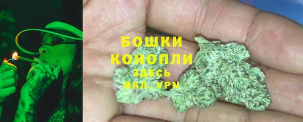 ПСИЛОЦИБИНОВЫЕ ГРИБЫ Горно-Алтайск