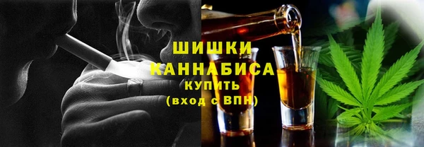 ПСИЛОЦИБИНОВЫЕ ГРИБЫ Горно-Алтайск