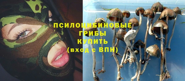 Альфа ПВП Гусев