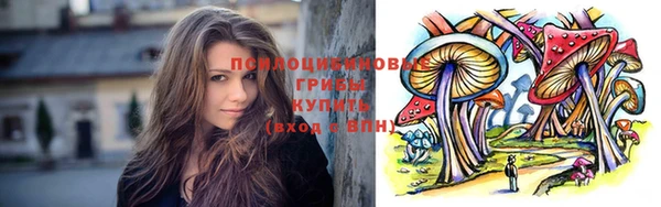 ПСИЛОЦИБИНОВЫЕ ГРИБЫ Горно-Алтайск