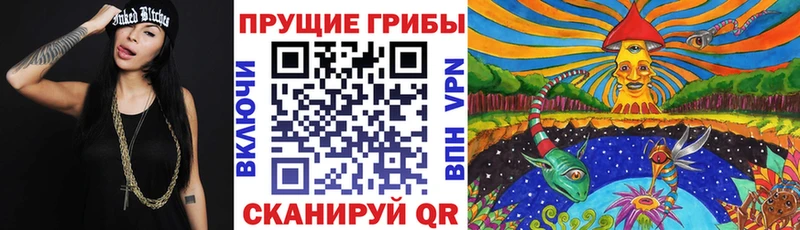 Купить  Котельнич  Галлюциногенные грибы Psilocybine cubensis 